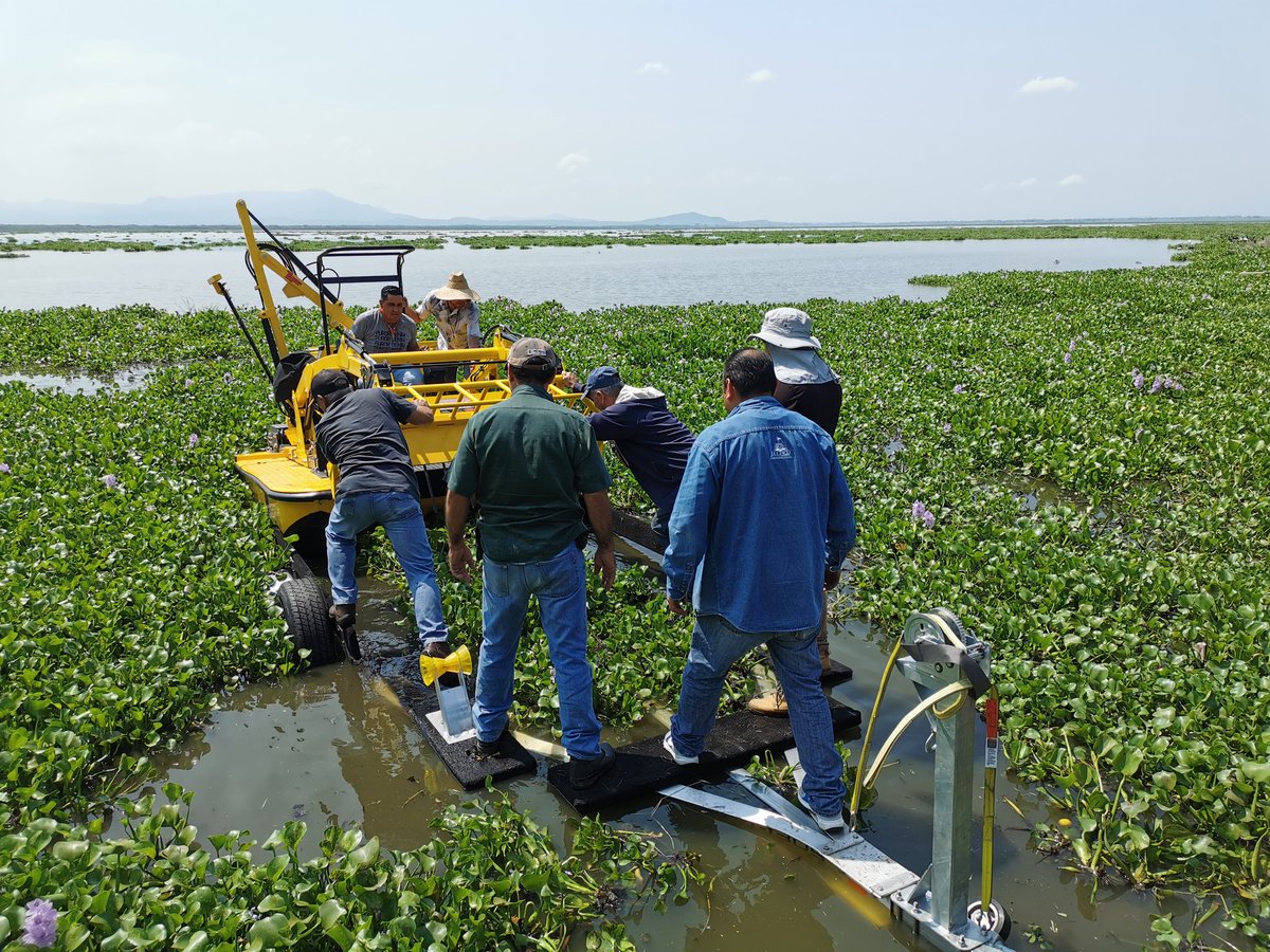 Capacitaciòn de 5 días a cooperativas de pescadores en el manejo de los barcos extractores de lirio. Participaciòn de la AUURA <a href="/SaderJal/">Sader Jalisco</a> <a href="/CUValles/">CUValles</a> @CEA_Jalisco <a href="/HTeuchitlan/">H. Ayuntamiento de Teuchitlán</a> <a href="/SemadetJal/">SEMADET Jalisco</a> y <a href="/JIMAV_Jalisco/">JIMAV</a>
