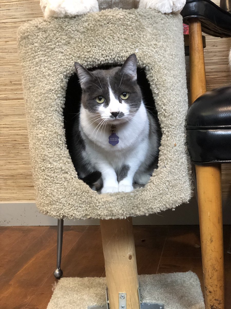 I told Ethel she can come out of hiding because Monday was canceled #HappyLaborDay