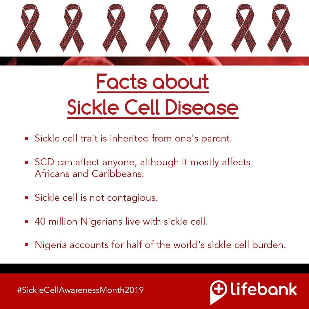 LifeBankCares's tweet photo. Sickle cell awareness month was created in 1983.
Drop a comment sharing how you are going to create awareness of Sickle Cell this month!๐๐
#sicklecell #sicklecellawareness #sicklecellawarenessmonth #scdfacts #sicklecellwarriors #sicklecelladvocacy #donatebloodsavelives https://t.co/18yxllqhz3