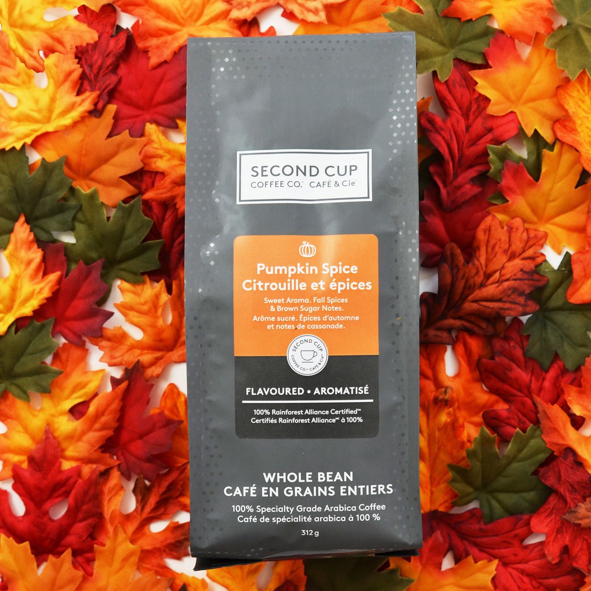 SecondCupYMM's tweet photo. Pumpkin Spice beans now available. Enjoy it in café, take some home and thank us later 😉 https://t.co/HTcjfCjfRh