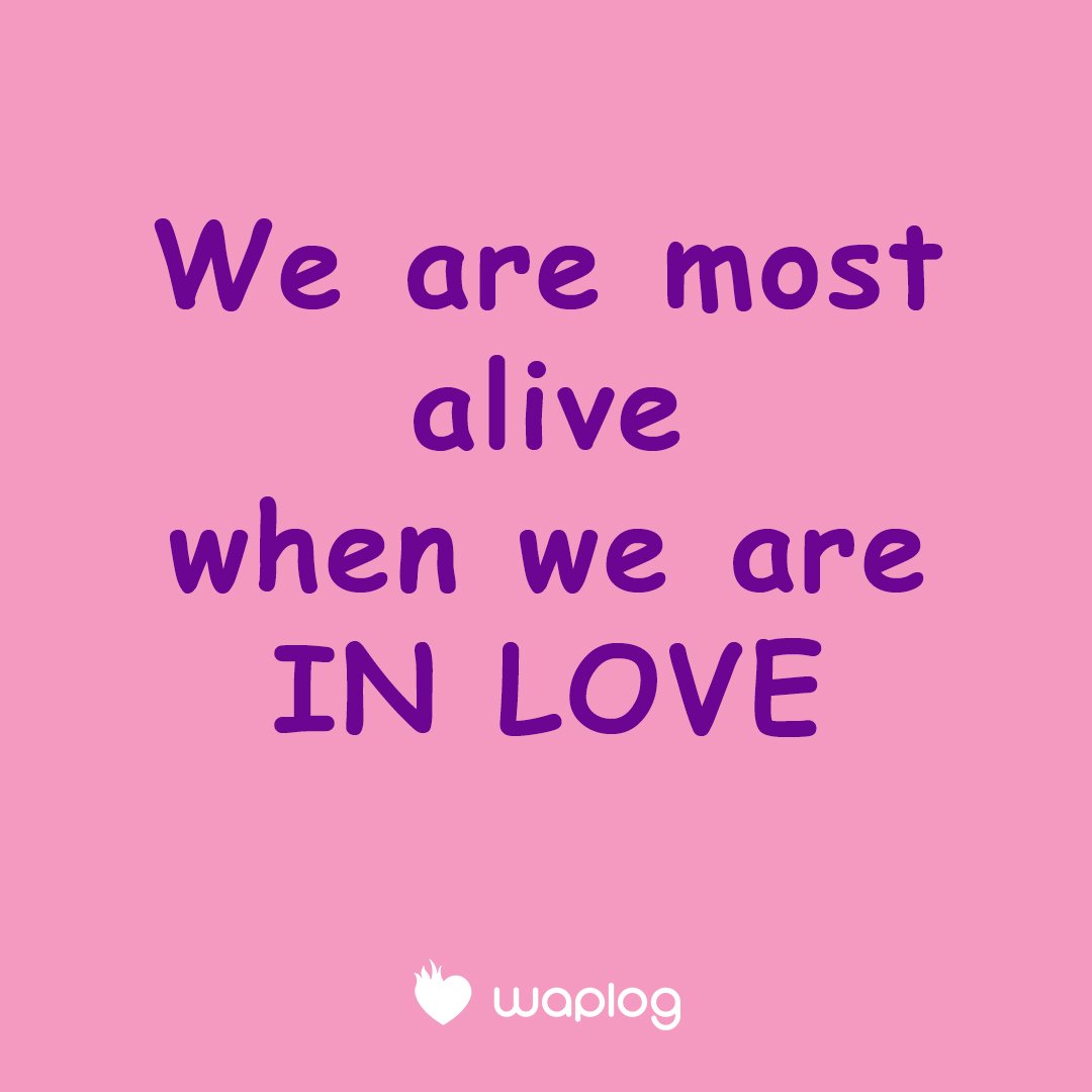 waplog's tweet photo. John Updike - We are most alive when we are in love - #lovequotes #waplog #dating #date #meetpeople https://t.co/pX1oGcTJjo