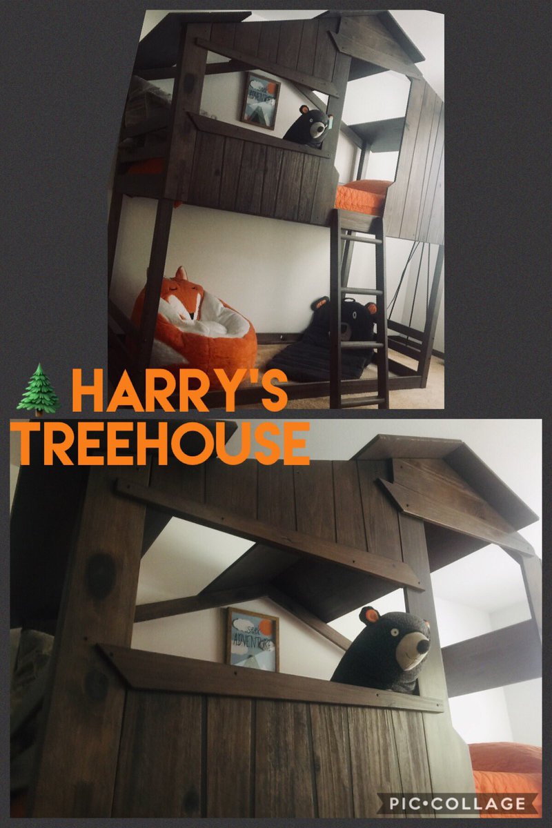 BigALFitz's tweet photo. Harryโs ๐ฒ#TreeHouseBed #MissionComplete โ
https://t.co/dueBz9AQsC
