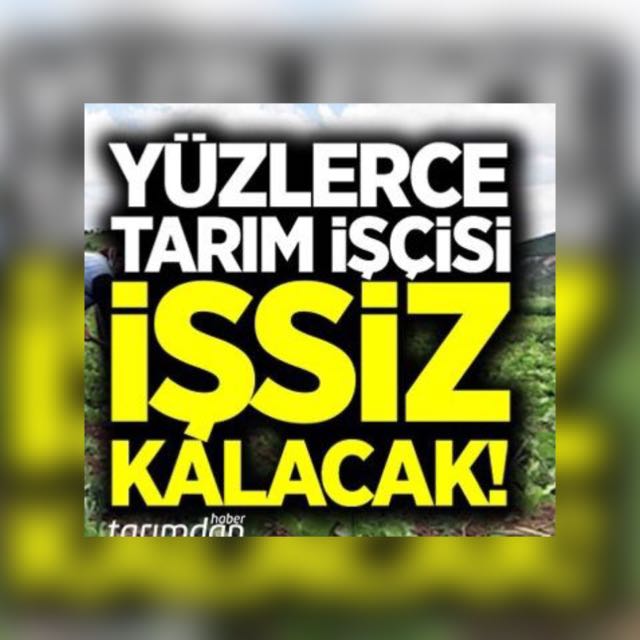 Tarımda çalışan 1064 kişi geçici işçilere 4 ay uzatma vizesi verilmediği için bu insanlar işsiz kaldı. 

Not: Türkiye geneli 23 bin mevsimlik işçi varken sadece 1064 üne bu uzatma verilmedi

ReistenTarıma OnayMüjdesi