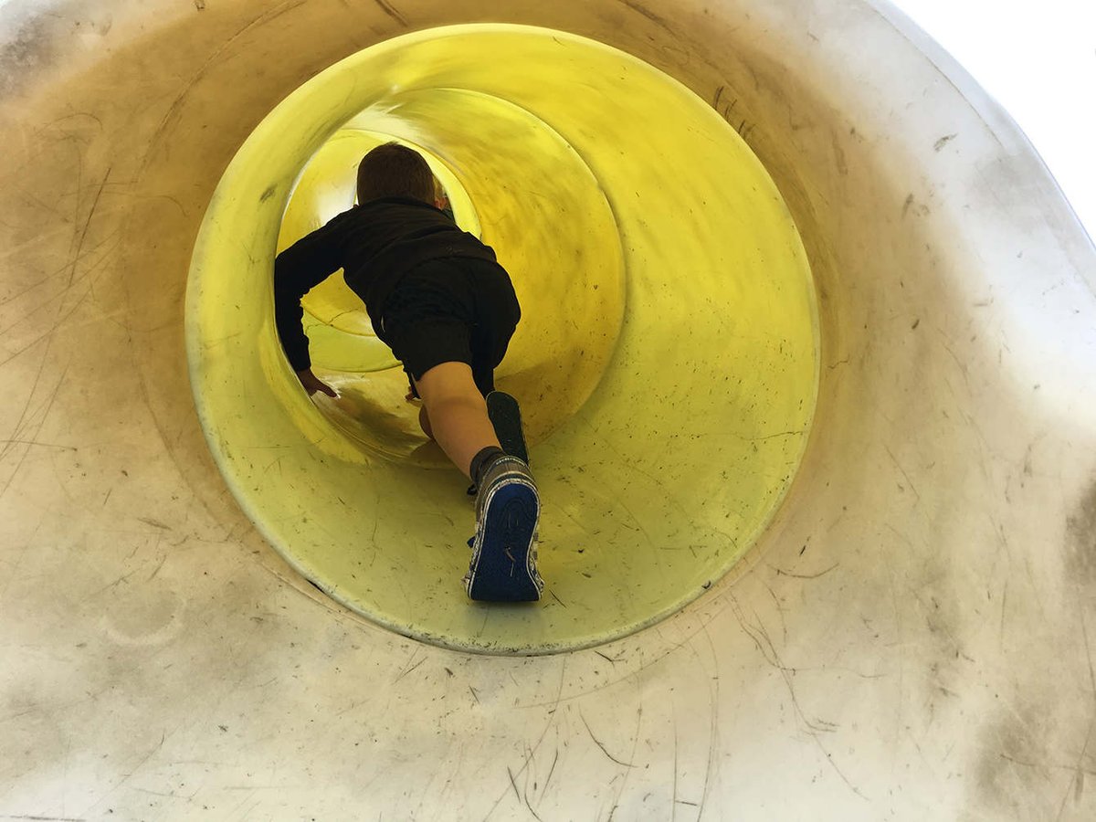 Art Licks tweet media