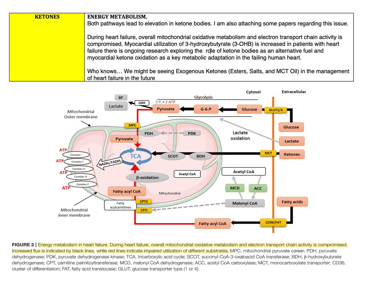 Regarding the #ESCCongress reaction on #DAPAHF  I share the enthusiasm of most. For this very reason I made this thread which I hope will raise the curiosity of others. 

It shows some  shared pathways of medication and #Lifestyle that are obviously not mutually exclusive. (1/4)