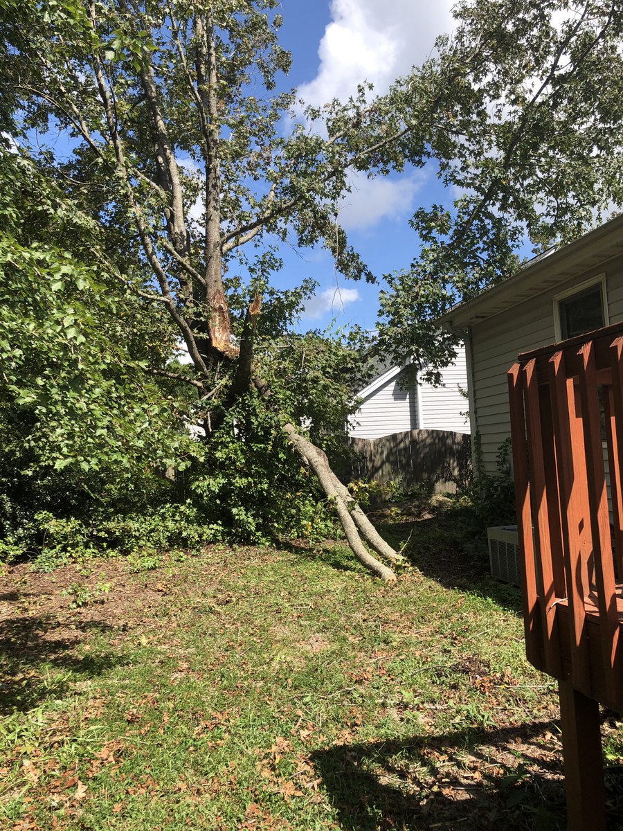 anne_barnes16's tweet photo. My #helpfulhubby is at it again! @Lindenmeadow1 working hard on Labor Day! Praying Hurricane Dorian doesn’t bother that 3rd branch in this tree! https://t.co/8xESoHFYKu