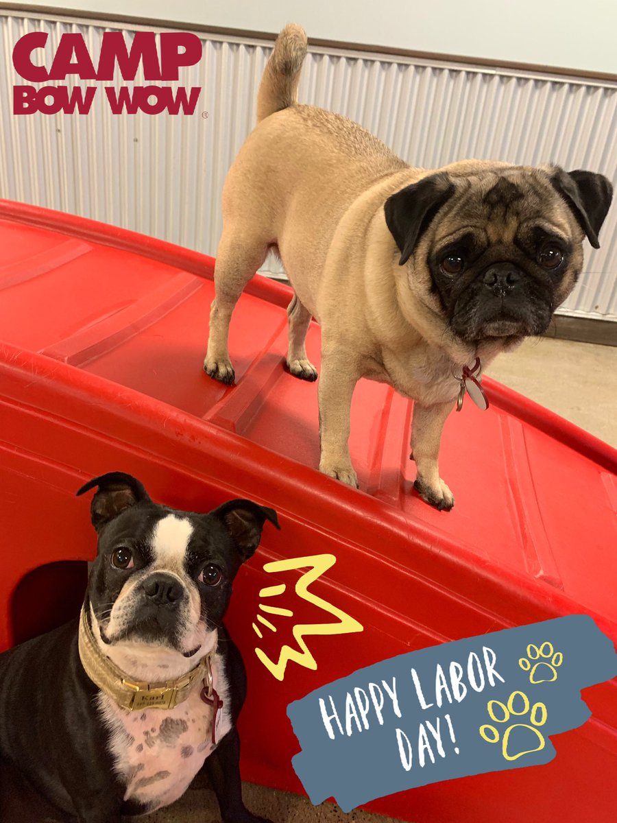 CBWTroy's tweet photo. Yappy Labor Day from Camp Bow Wow Troy! We hope everyone has a paw-some and safe holiday! 🐾☺️🐶 #LaborDay #LaborDayWeekend #campbowwowtroy #campbowwow #DogsofTwittter https://t.co/FxmHjUSBpZ