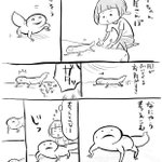 なんだかトロ可愛なトカゲちゃん…なのに寿命は案外長いのねw