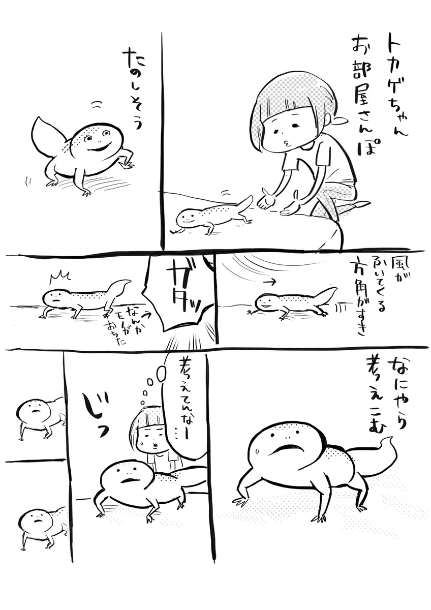 なんだかトロ可愛なトカゲちゃん…なのに寿命は案外長いのねww