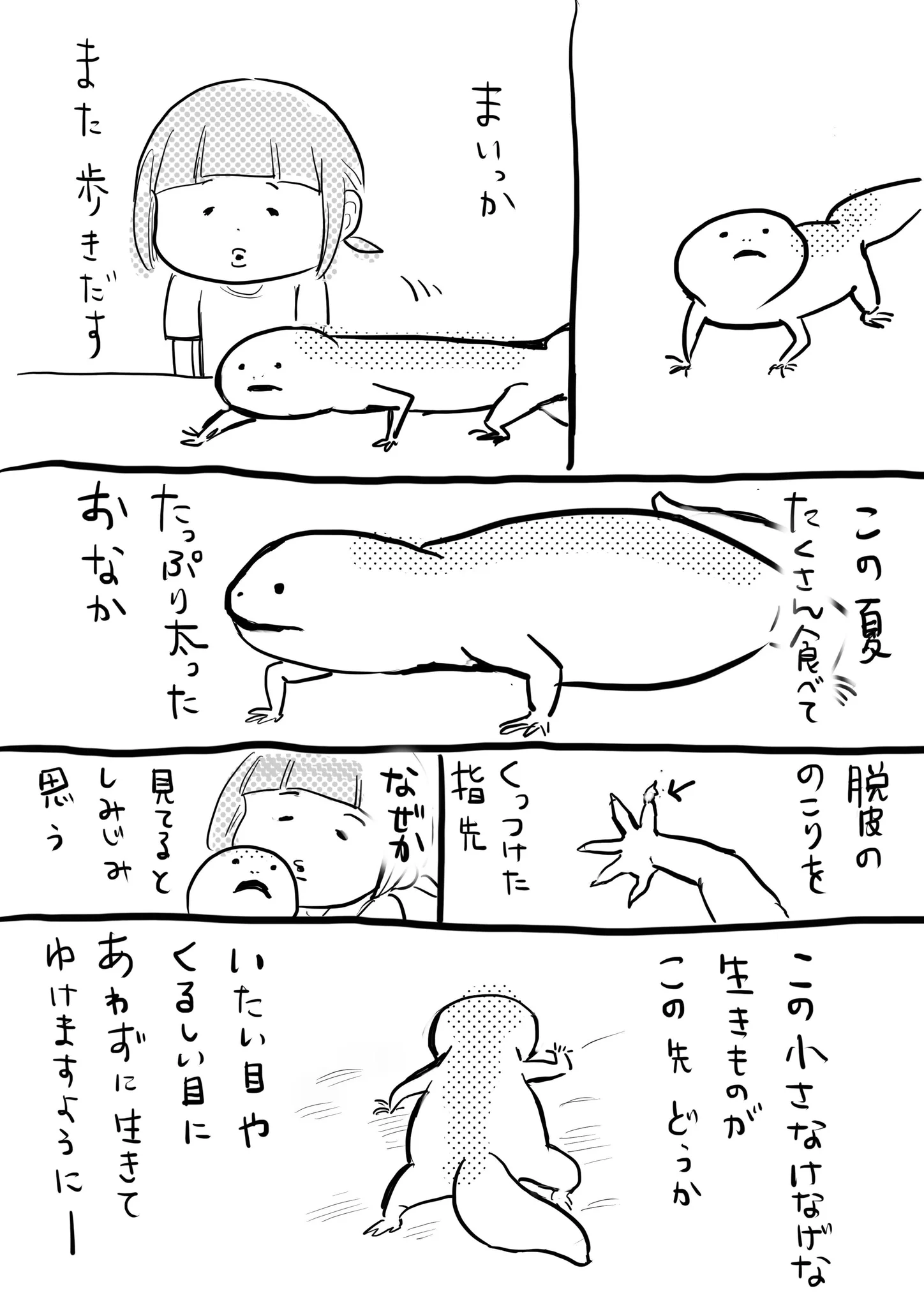 なんだかトロ可愛なトカゲちゃん…なのに寿命は案外長いのねww