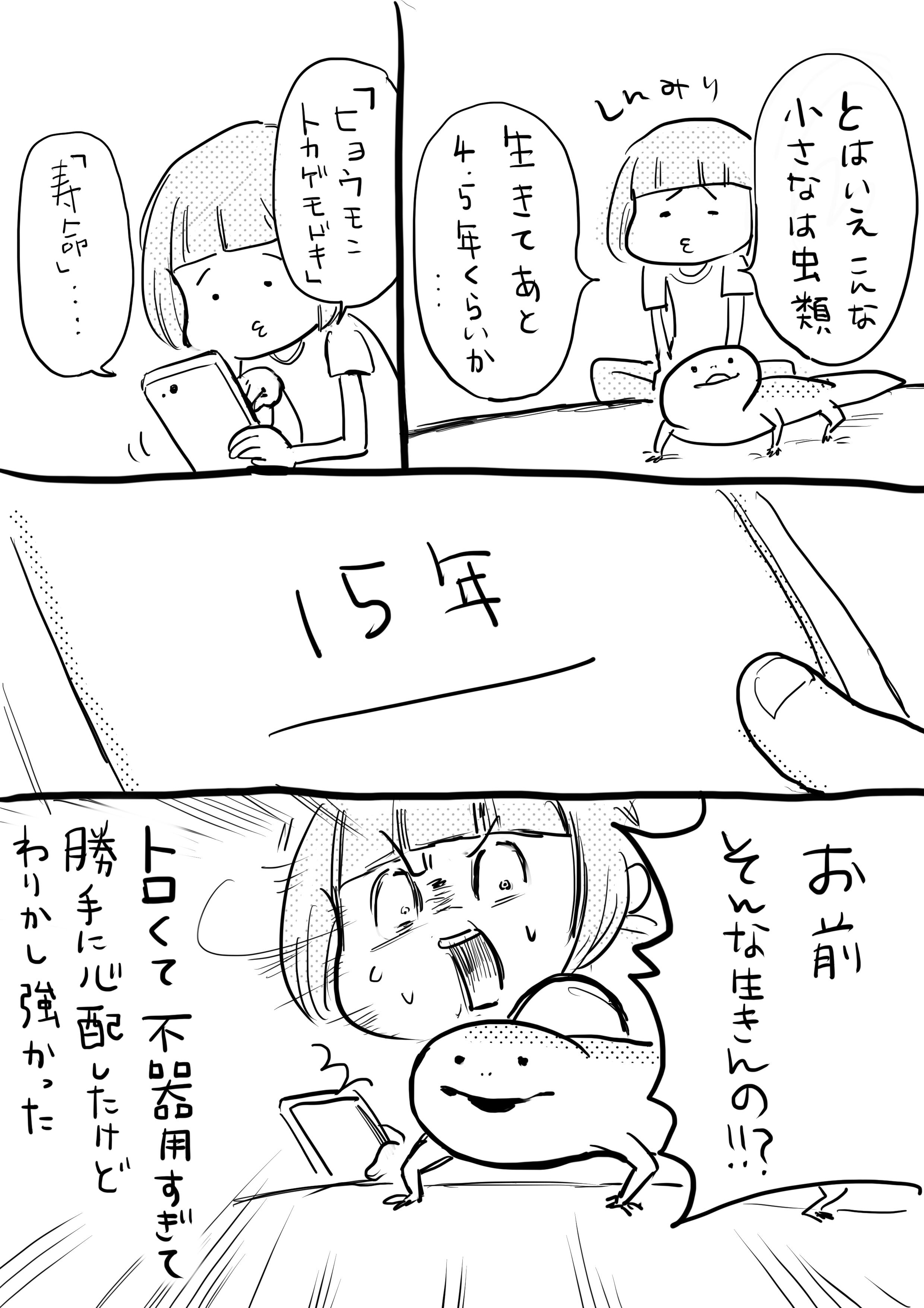なんだかトロ可愛なトカゲちゃん なのに寿命は案外長いのねw 話題の画像プラス なんだかトロ可愛なトカゲちゃん なのに寿命は案外長いのねw 話題の画像プラス
