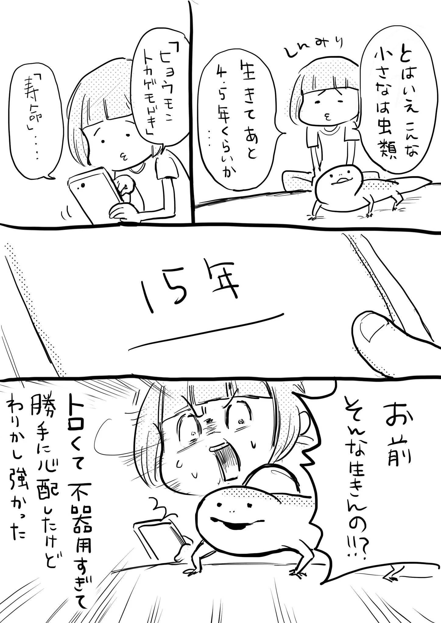 なんだかトロ可愛なトカゲちゃん…なのに寿命は案外長いのねww