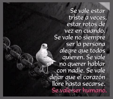 AmricaNezLara1's tweet photo. BUENOSDÍASAMADA🇻🇪 se vale d todo y tengo enfriando La CHAMPAÑA para el despertar d esta pesadilla terrorífica q hemos vivido 20 años y q se acentuó en los últimos 6 años!!!
Si Dios quiere pronto vendrá la PAZ✌🏼⁦@NunezMoraima⁩ @elozsan @OswaldoOrn ⁦@leon0505 @Bemba16 https://t.co/VIU3pspK1F