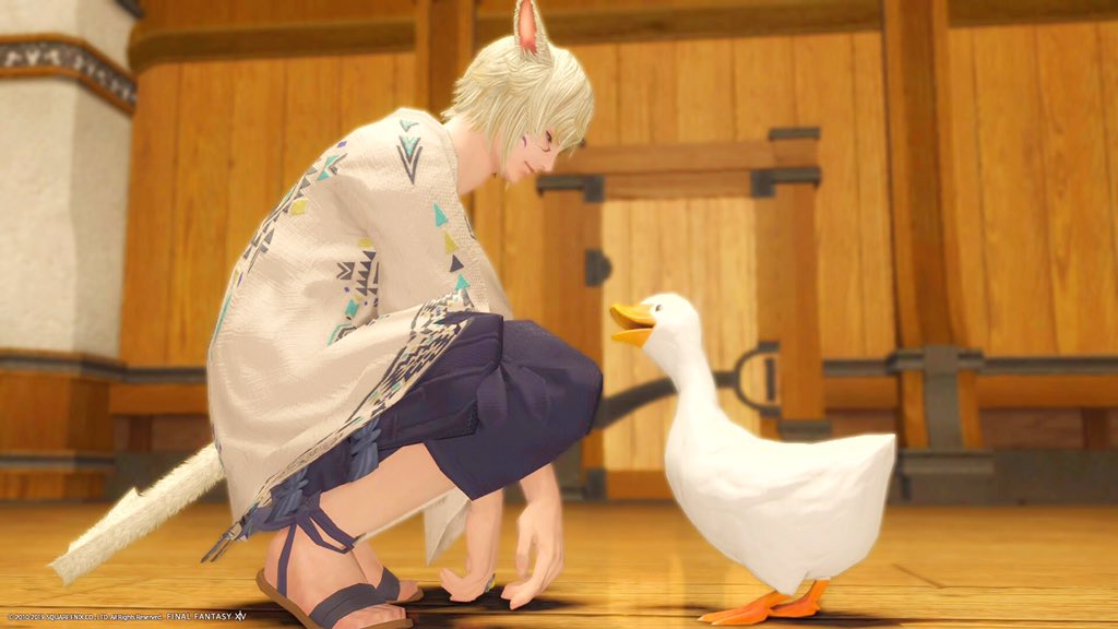 ohnet_sayre's tweet photo. #FF14 #ミコッテ #オスッテ #Oracle_ss https://t.co/qeCFyapC4j