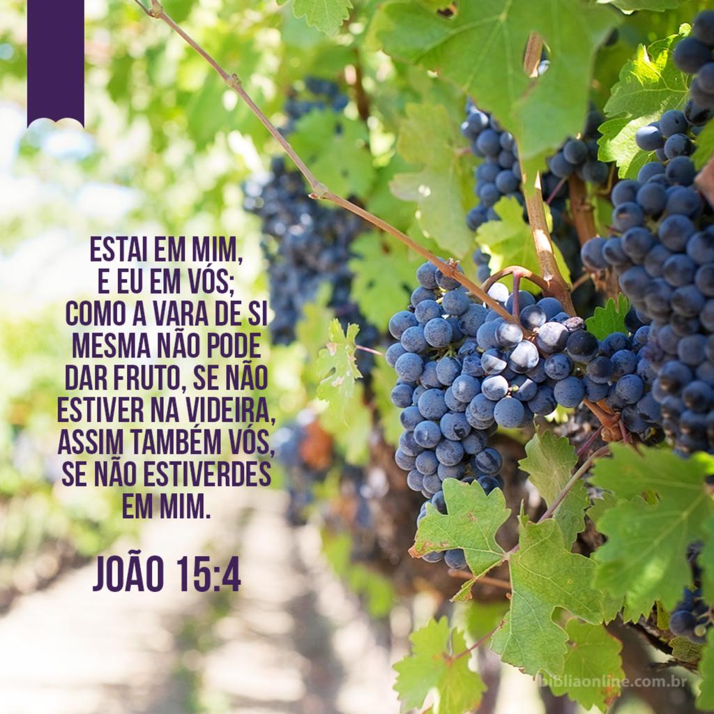 ipdiv1098's tweet image. 