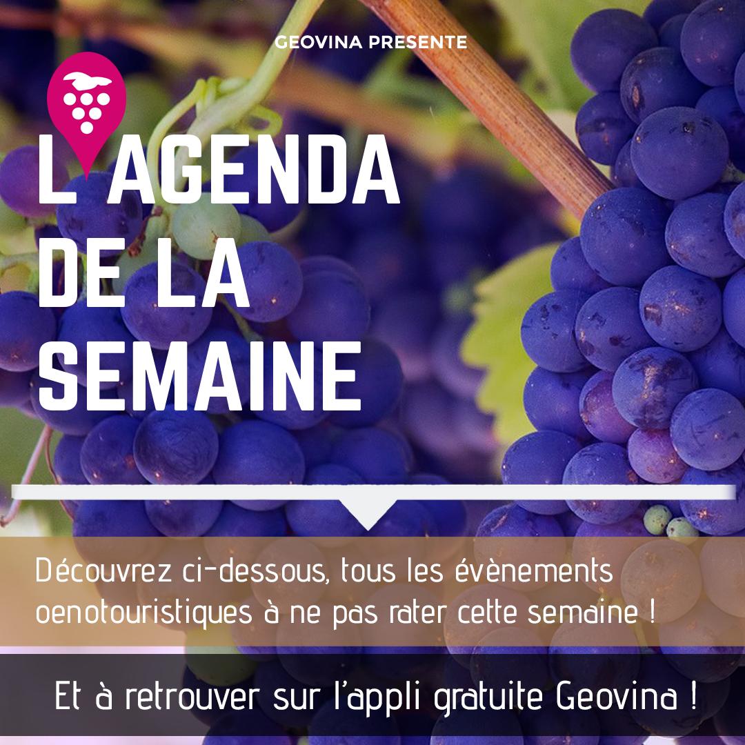 GeoVina tweet media