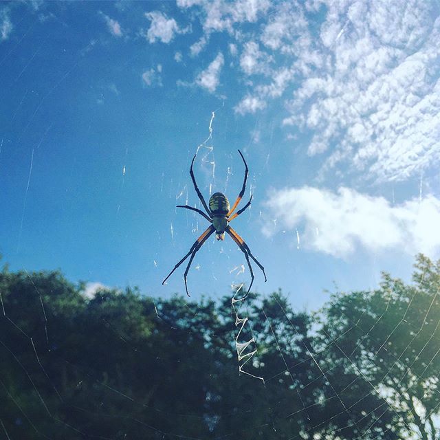 The kids nicknamed him “Fuzzy” ift.tt/34gNti3