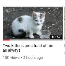 kobldexe's tweet photo. There's a guy on youtube who goes around helping feral cats and his video titles just read like he's constantly in a state of anxiety over what cats think of him https://t.co/g38YuIOfLT