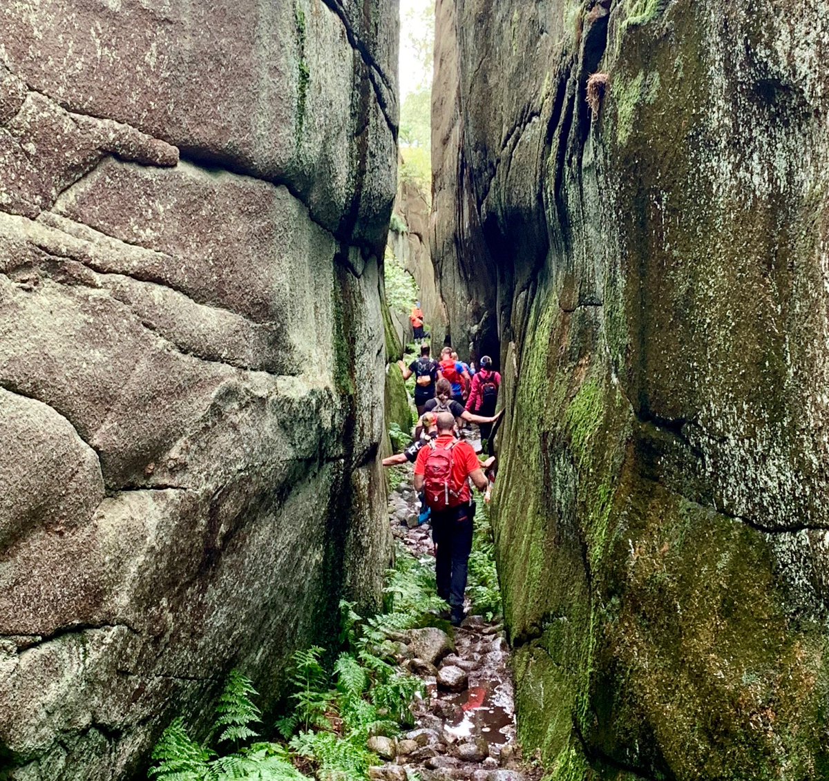 WestSwedenTB's tweet photo. This photo is from stage 3 of #icebugXperience along the Kustigen hiking trail. If you like hiking or trail running, this is a perfect annual event on Sweden’s west coast. #westsweden #bohuslän #visitsweden https://t.co/BE5iSL9CnL