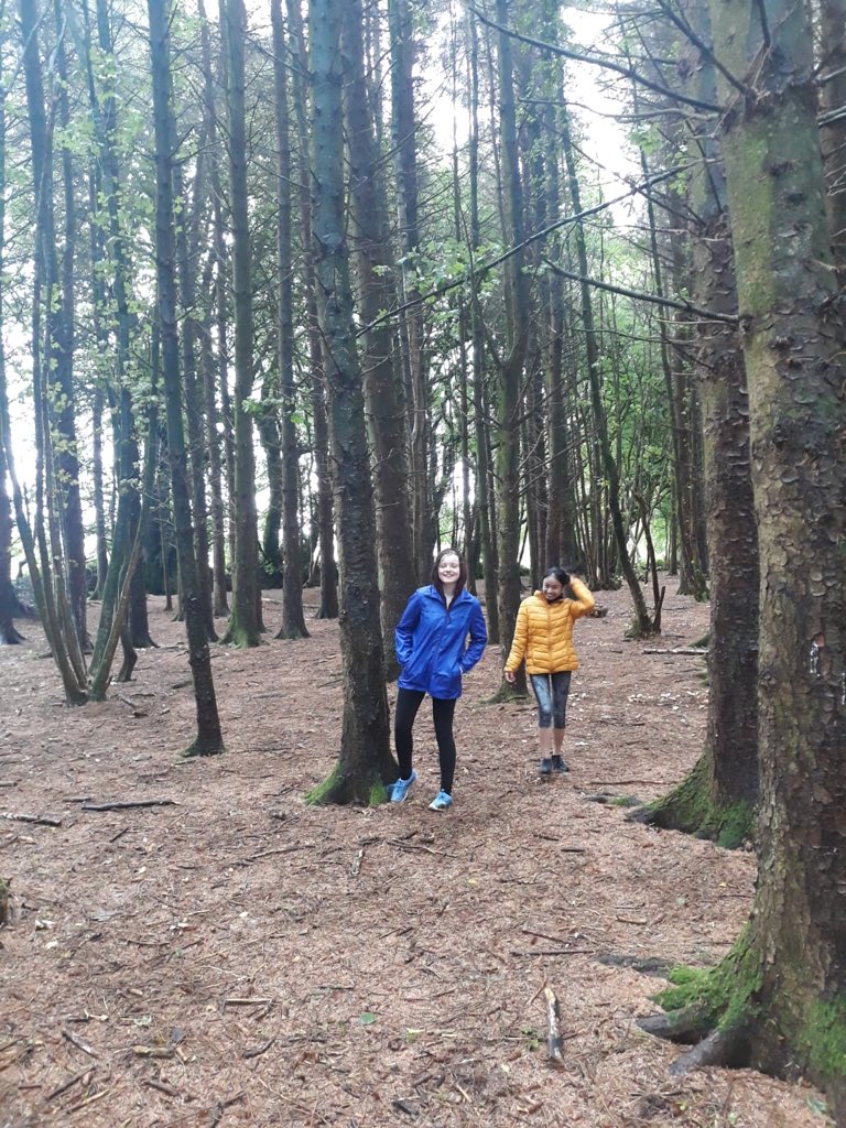 ColaisteNaMi's tweet photo. What a great day it was!! TY’s enjoyed a fantastic day out to Lilliput Adventure Centre today. #TYbonding #tyadvetures #cnmty2019 https://t.co/Ti13APHBRO