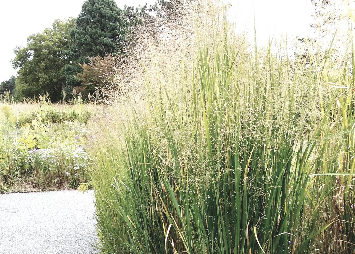 Design (= path, stone wall) + native species (mostly) is a garden aesthetic I'm after

Niagara parks commission fall '18