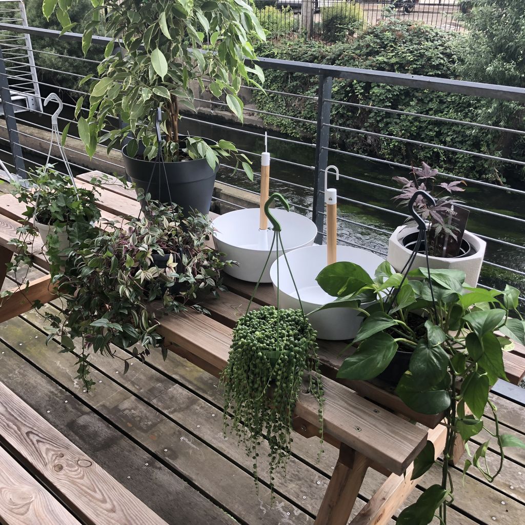 HoltArch's tweet photo. Making the most of our riverside location. #greenoffice #wellbeing #urbangardening #naturalventilation https://t.co/iuJkJd1McV