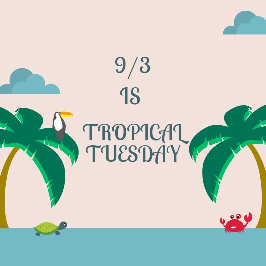 TauntonStuCo's tweet photo. tomorrow is tropical tuesday!!! spread the word🌺🍍🥥🏝 https://t.co/fHoeTZfDFo