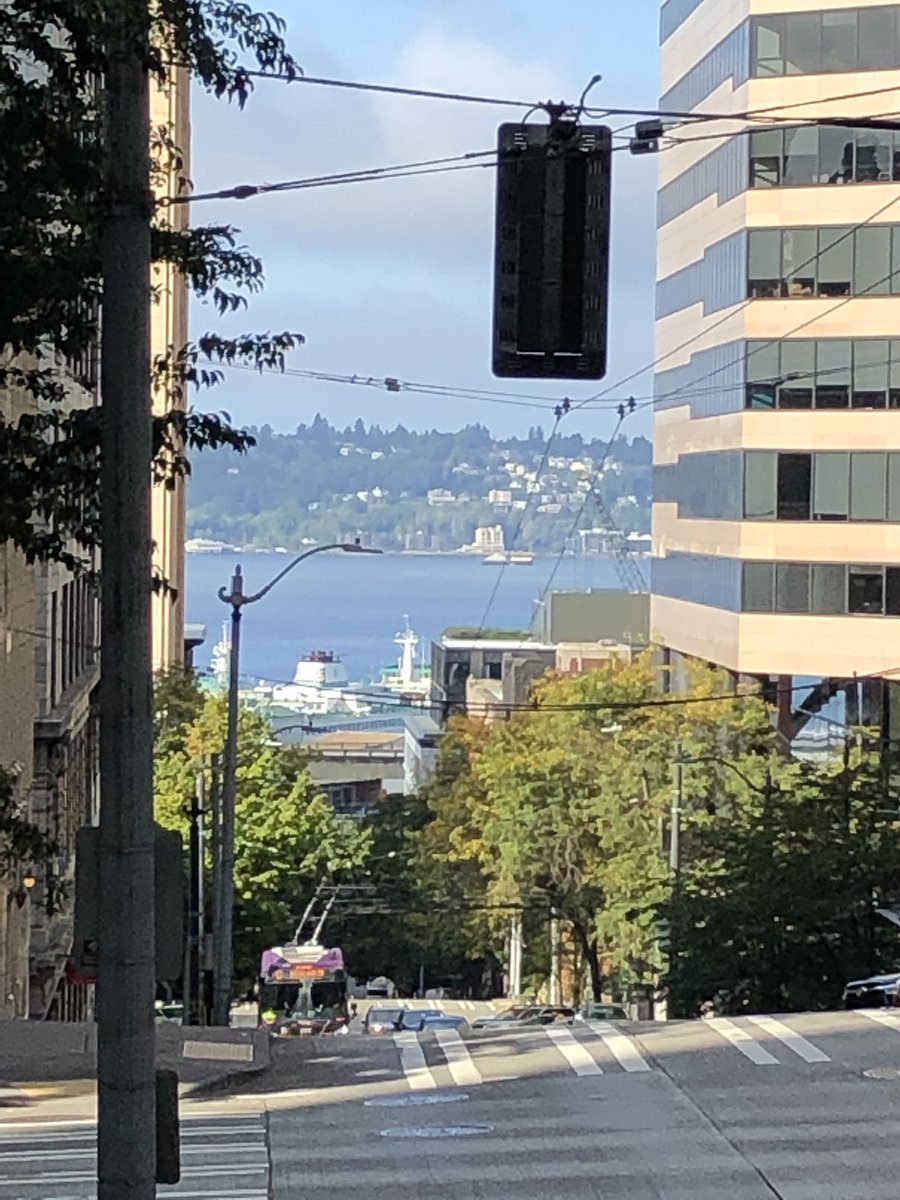 lilkaraokediva's tweet photo. #BusStopView #Downtown #DowntownSeattle #ForthAndMadison #PugetSound @wsferries @kcmetrobus #Bus #Ferry #SoNorthwest #iPhonephotography #iPhone6 https://t.co/Sg8CeeR9nY