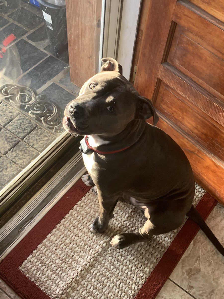 kesslerk12's tweet photo. Best thing in my life to come home too https://t.co/0oDEFNr9lA
