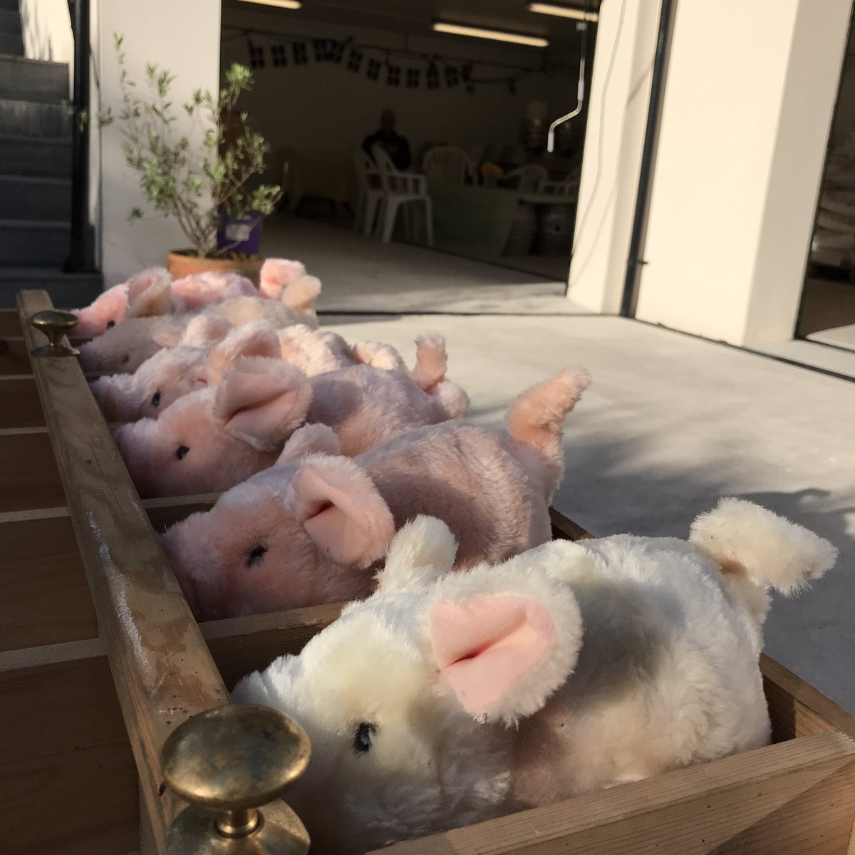 Tremethick Brewery tweet media