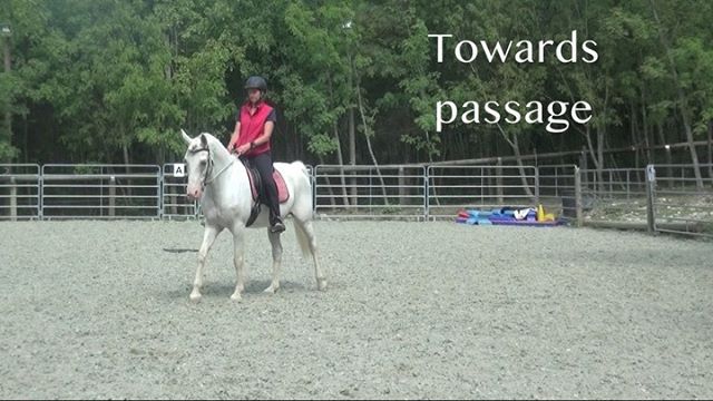 Clickerpferde's tweet photo. ✨In this trot sits the passage ✨
Asfaloth hat die richtige Kadenz gefunden, die eine Passage möglich macht. Könnt ihr die Passage in diesem kadenzierten Trab auch sehen ? 👀 Jetzt muss ich nur warten, bis sie herauskommt. Das ist ein tolles Gefühl 💜🦄💜 https://t.co/cCC8lUxvaK