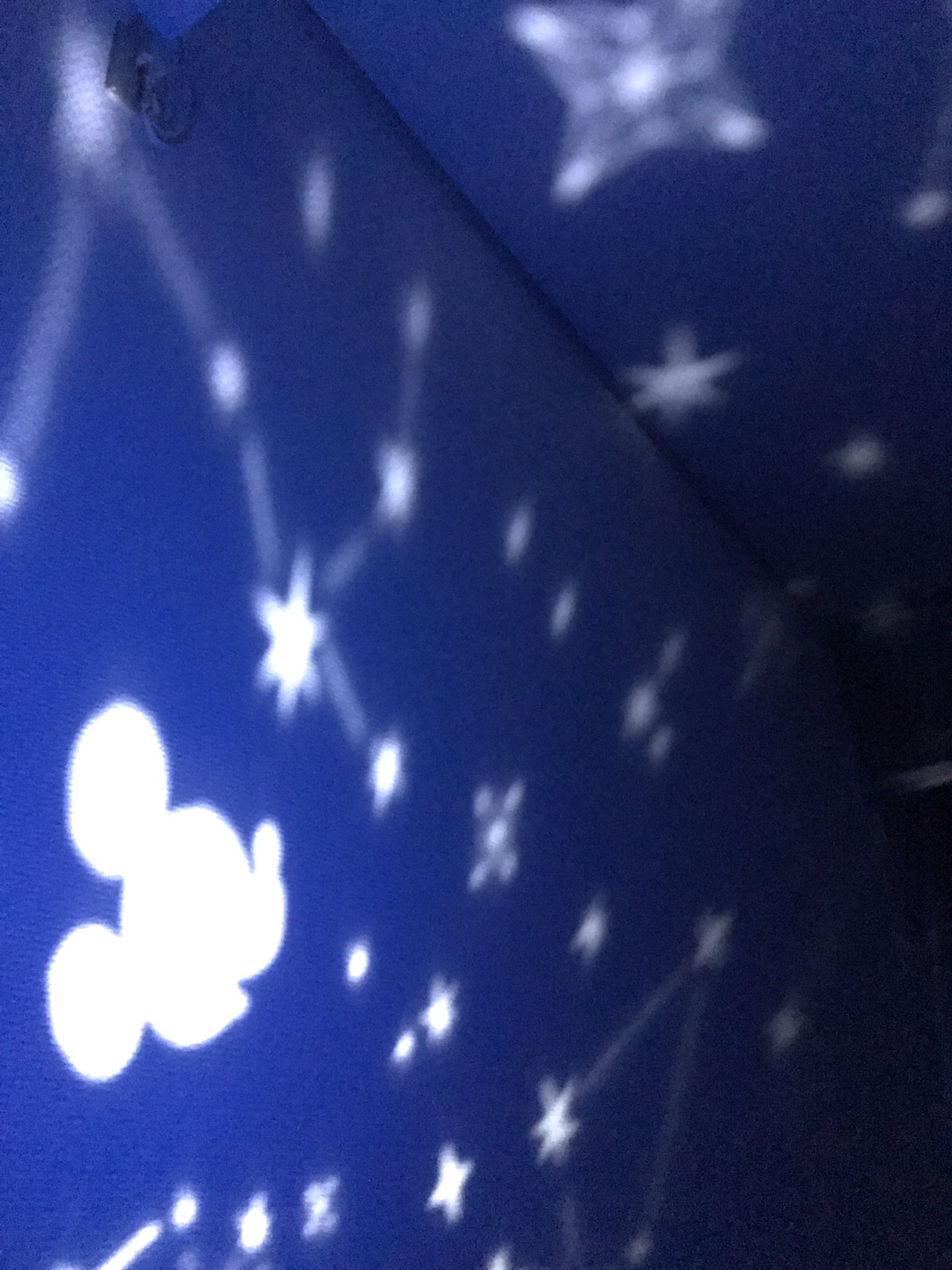 めんま 18周年プラネタリウムget すごくキレイ 初日に売り切れなんて Tot 買えてよかった ディズニーシー18周年 プラネタリウムおもちゃ T Co Ajr1cilmc8 Twitter