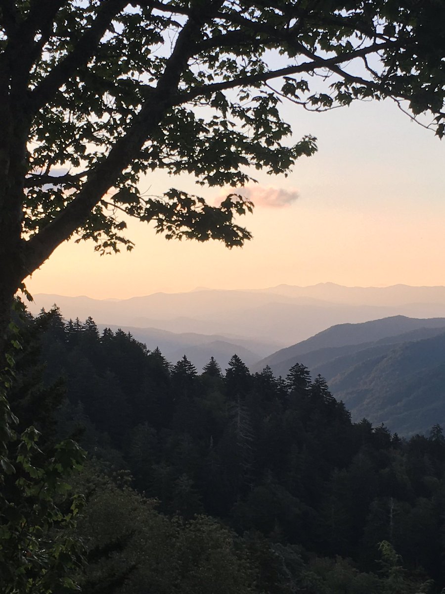 tnk7824's tweet photo. Good day in NC https://t.co/NRWjDHUtpw
