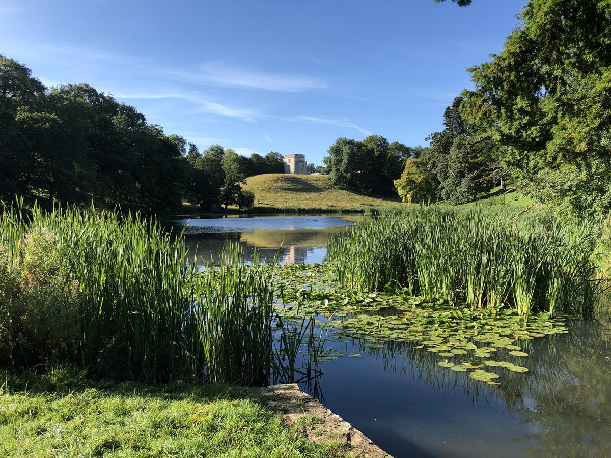 Isobel Kate tweet media