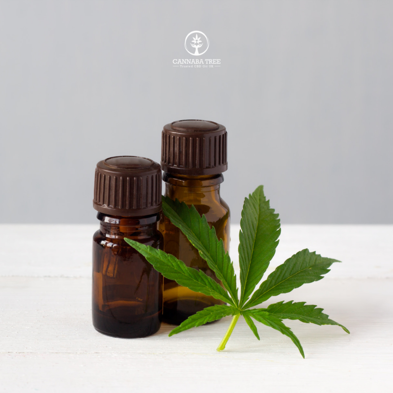 CannabaTree's tweet image. 🌱 How Long Does CBD Oil Take To Work? 🌱

As with all new supplements being introduced to the body, it can take CBD users a little time to experience the full benefits of cannabidiol. Read full article here ow.ly/FpQN30psJLc

#cannabatree #cbdoil #cbduser