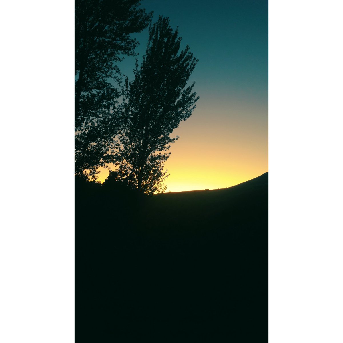 R_Seveen's tweet photo. Gün batımı 🎑 https://t.co/49GJ4OzFnZ