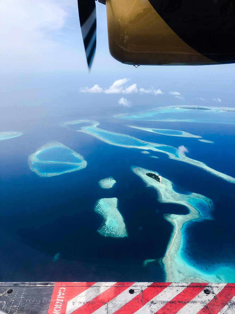 AndrewHScottKY's tweet photo. Four airports, three airlines, two continents, and the single most beautiful place on the earth! The lagoons are Tiffany blue and sunsets are like fireballs in the sky! Thanks, @transmaldivian, for the final leg!

Wishing everyone a safe and blessed Labor Day! https://t.co/AbjFmAxbYo