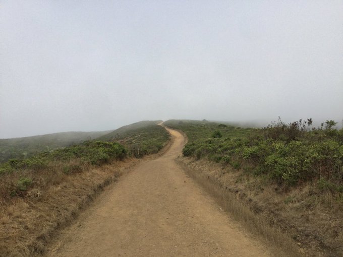 ⛰🏃🏻&zwj;♂️ 15km &amp; ~2k' in #Marin 8/31 to finish #August at 216km &amp; 7116m. Grateful for a month of consistent<a href="/tag/marin"class="tags">#Marin</a><a href="/tag/august"class="tags">#August</a><a href="/tag/run"class="tags"><span>#run</span></a><a href="/tag/tpac2019"class="tags"><span>#tpac2019</span></a><a href="/tag/viewsource"class="tags"><span>#viewsource</span></a>