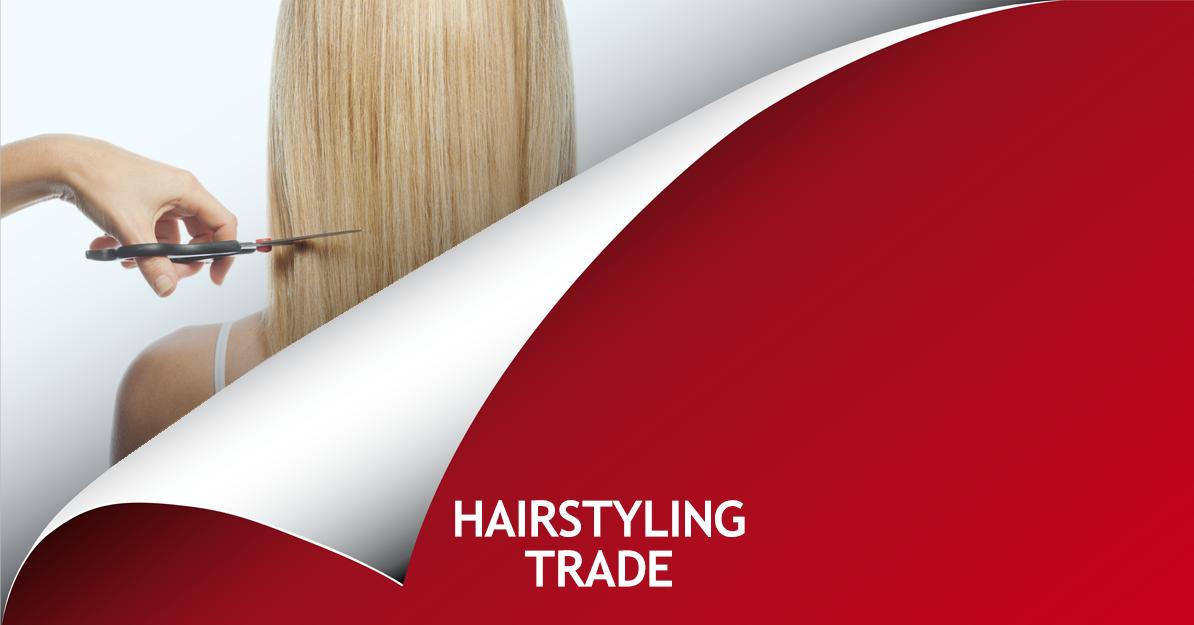 Why has the government turned its back on promising that hairstyling would become a voluntary trade? The government keeps tangling up red tape and bureaucracy costing hairstylists thousands more. CC: <a href="/RossRomanoSSM/">Ross Romano</a>, <a href="/fordnation/">Doug Ford</a> &amp; <a href="/SueAnnLevy/">Sue-Ann Levy</a>