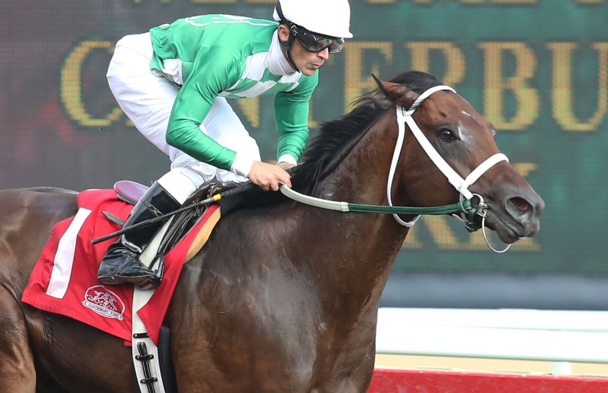 Horse Racing Nation On Twitter After Winning His 10th Race