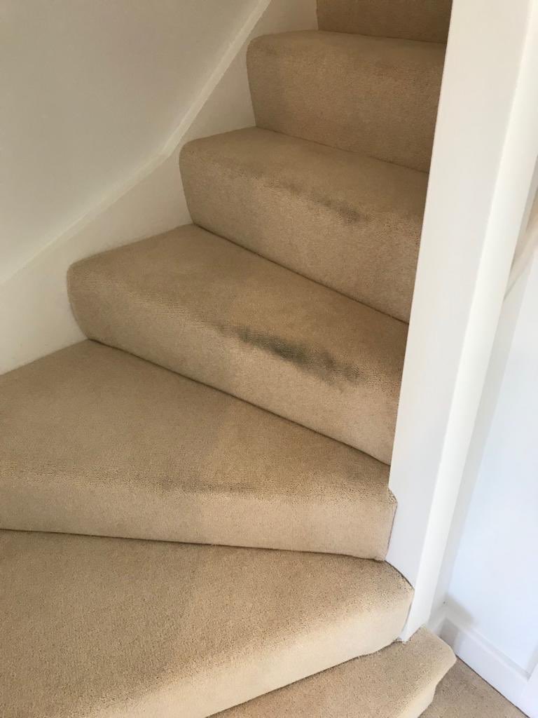 stephlmal's tweet photo. @OfficialFV completely unacceptable that after you delivered a mattress you left our carpet in this state, disgusting 😡😡😡😡 https://t.co/fKJjtJMTWx