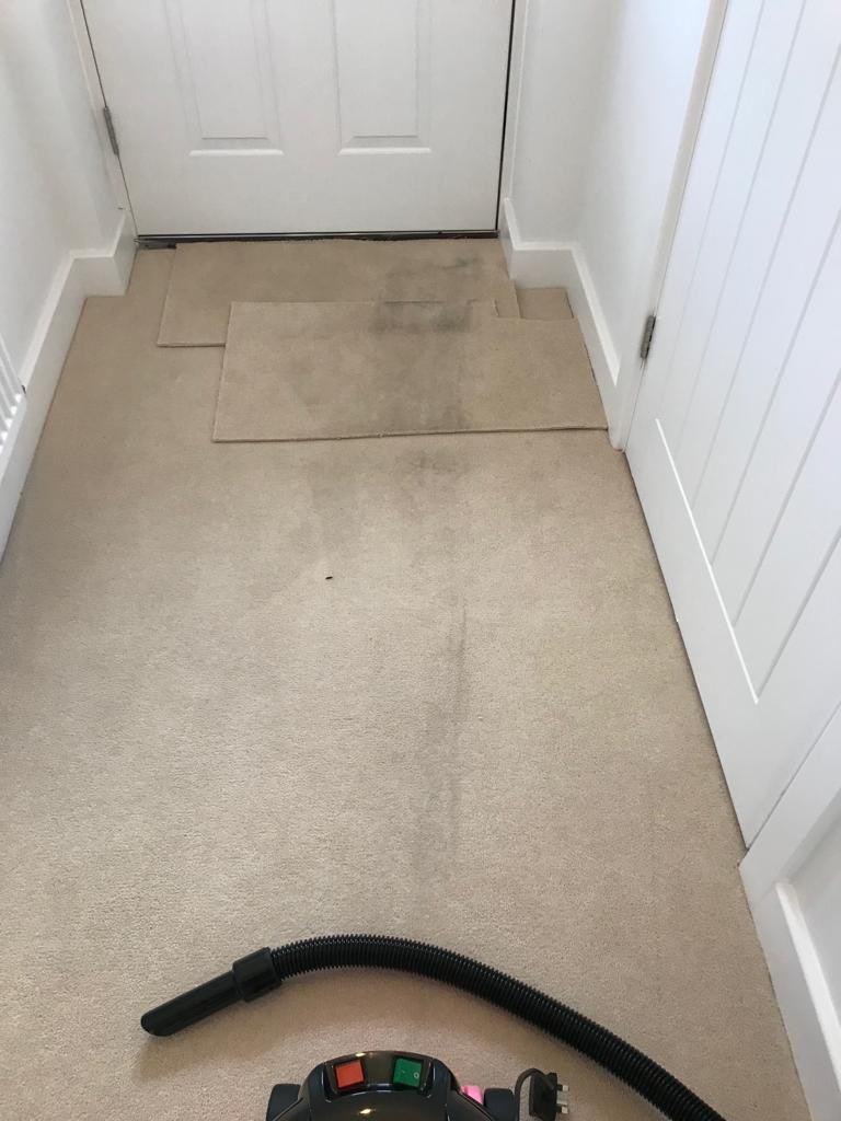stephlmal's tweet photo. @OfficialFV completely unacceptable that after you delivered a mattress you left our carpet in this state, disgusting 😡😡😡😡 https://t.co/fKJjtJMTWx