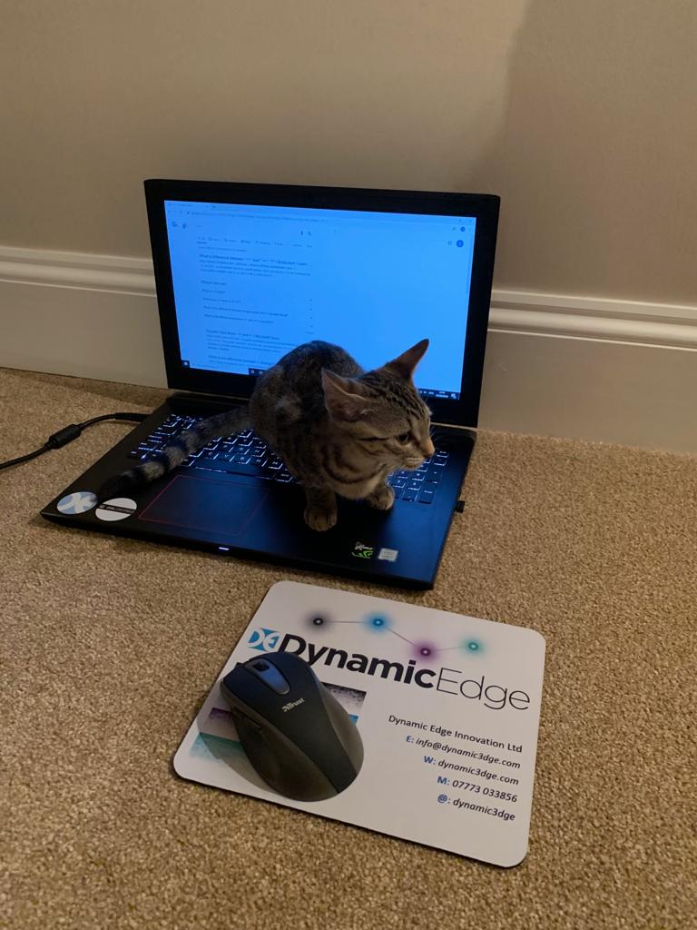 Dynamic3dge's tweet image. Welcome to our two honorary (and very furry) members of the Dynamic Edge team 🐱 

#cornwall #cats #workers #relax
