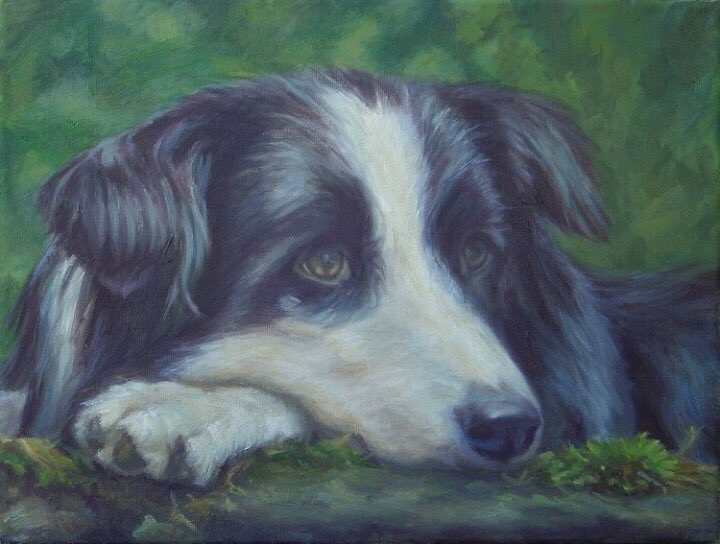 Waiting For Work - went to  #spcaGot my heart though because these dogs lay in wait to work - tells a story I like AND that paw...I just wanted to paint his stupid paw...