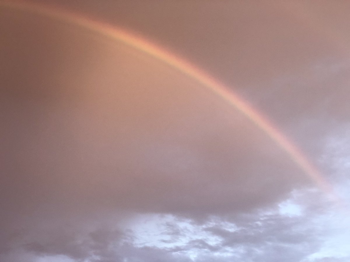 ABUJA FACTS tweet media