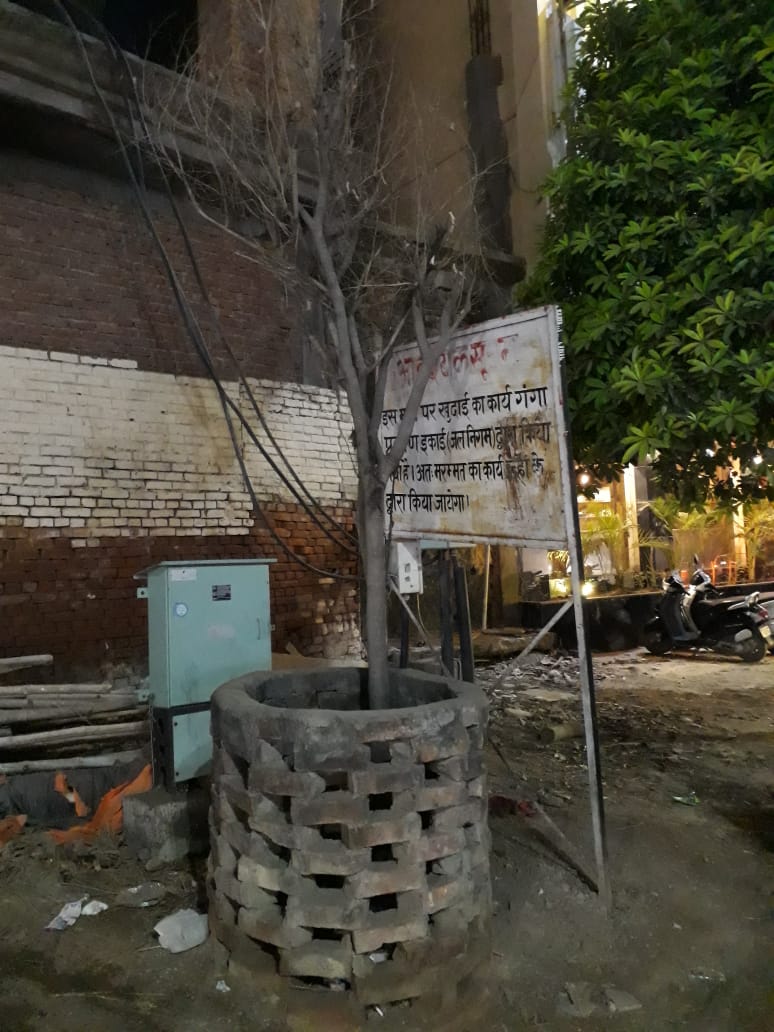 RJSHALINI1's tweet photo. #भेलुपुर से #रविन्द्रपुरी के रास्ते पर जो #पेड़ लगाए गए वो सूख गए ,,
ideas दें इन्हे सूखने से कैसे बचाया जाए 👇 #Varanasi
#बेचारेपेड़ #RIPTrees😢
@dmvaranasi2016 @narendramodi
@UpforestUp https://t.co/GbH8CA7OVZ