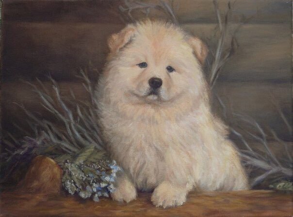 Chow chow hit the auction block to raise funds for the  #spca as well...Working with whites as an artist is a bitch! It’s about value, temperature, reflections - extremely valuable practice in portraiture.If you say something is white to an artist, they’re like wtf is white