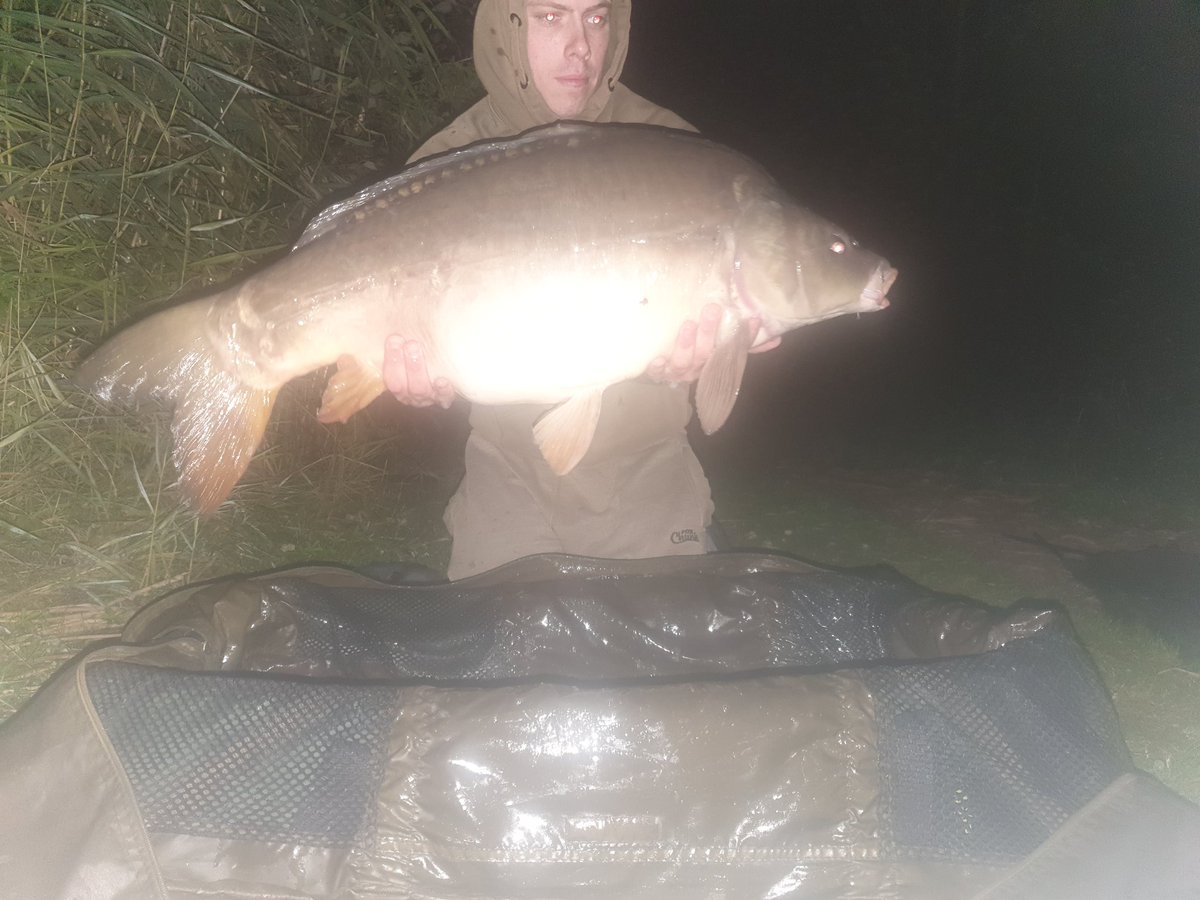 CDcarpfishing's tweet photo. 26,27&amp;28lb the pick of the bunch for my first time on bramley. Shame about the pictures but self timer in the dark is hard😂 All caught on a snowman rig with mainline cell topped of with a trimmed down white pop up. #selftimerissues #carpfishing #mainline https://t.co/ikI5xAx7lU