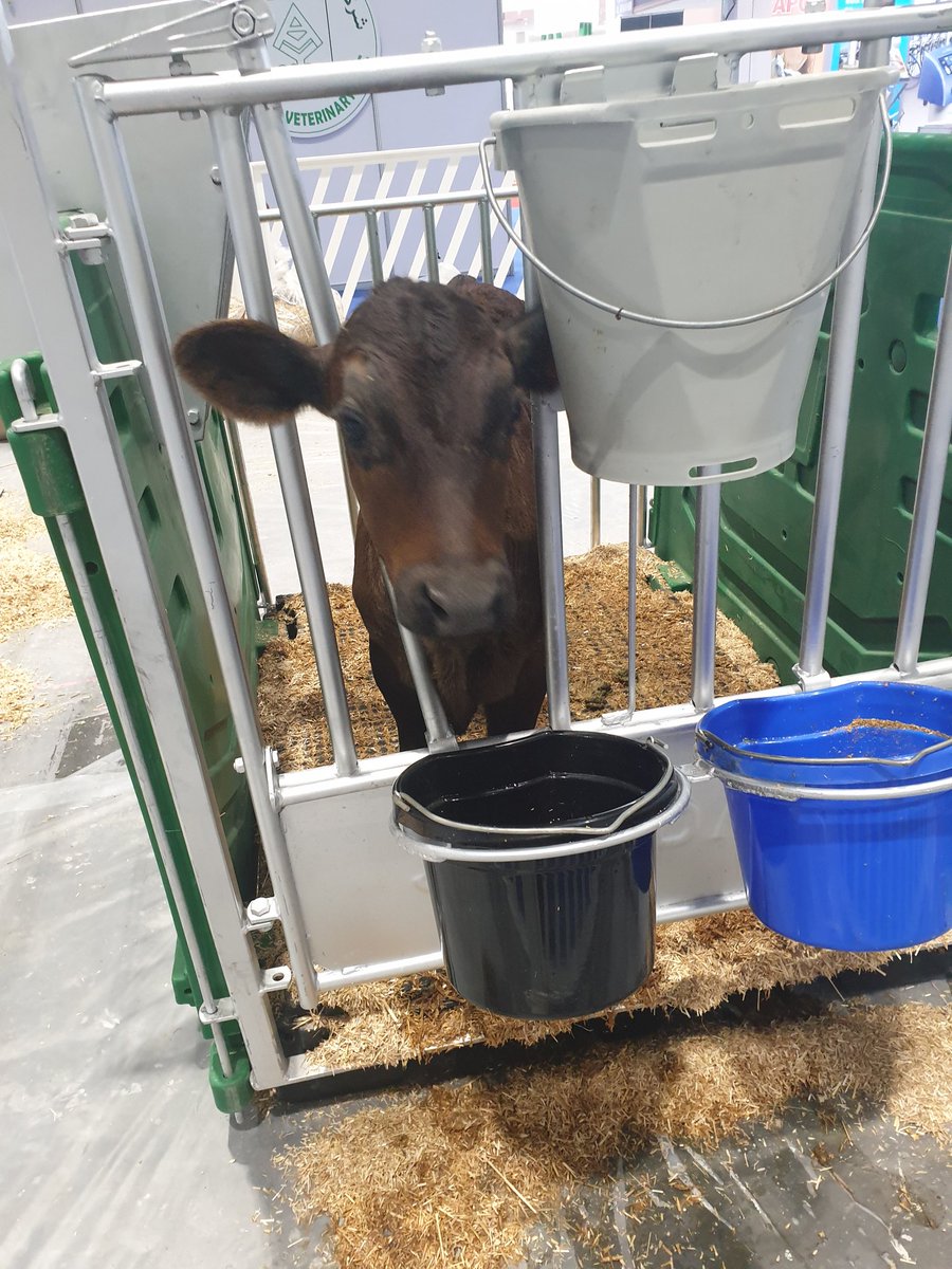 4Inspect's tweet photo. Great day had at The Euro Tier Show in Abu Dhabi!!!#Inspect4 https://t.co/YYZkcvAV0x