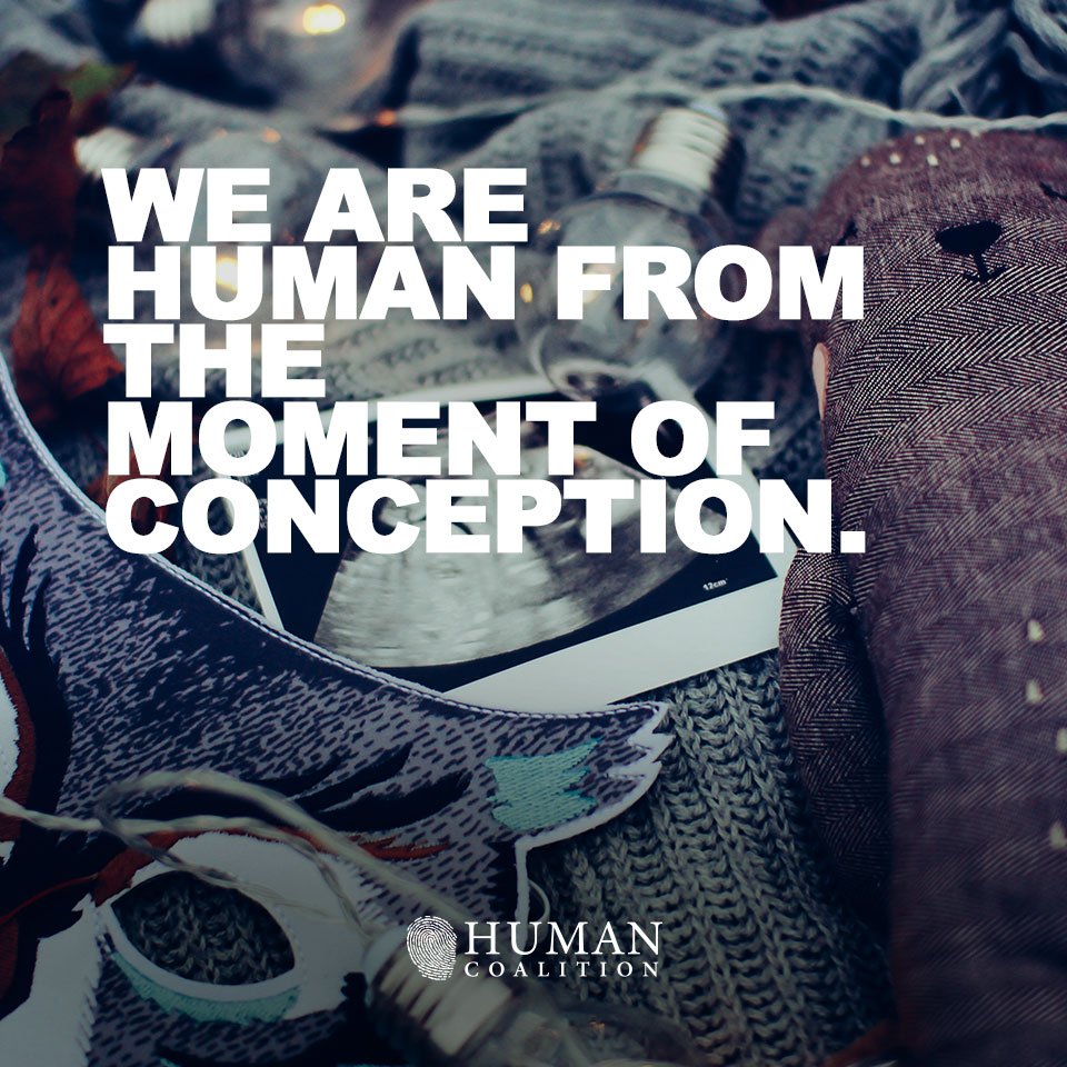 HumanCoalition's tweet photo. We all deserve the opportunity to live life. 

#ReachRescueRestore; #HumanCoalition; #Savethebabyhumans; #Preborn; #Rescuethepreborn; #Endabortion; #Restorefamilies; #Abortion; #Valuelife; #Prolife

Photo by Daiga Ellaby on Unsplash https://t.co/7b2EXlnGlT